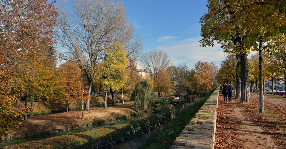 Spaziergang am Fluss im Herbst