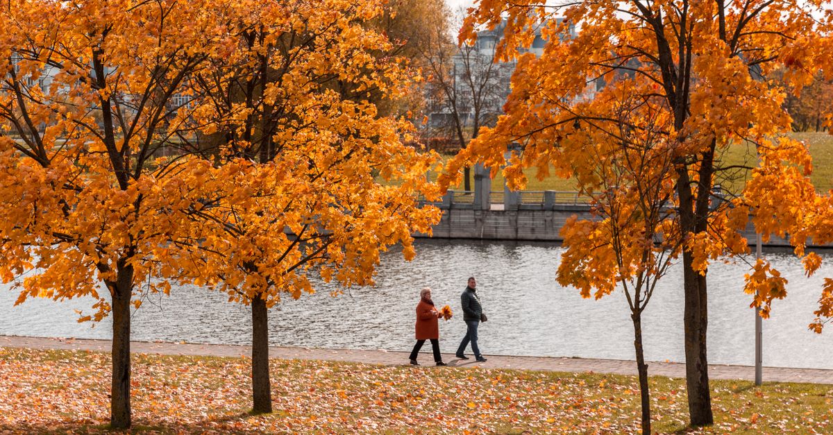 Spaziergang entlang der Ruhr im Herbst